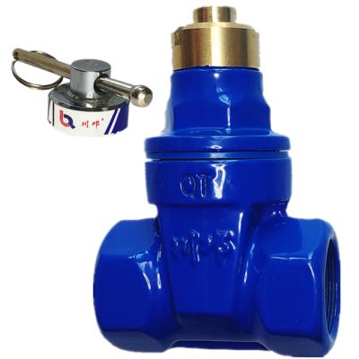 China Blue Valve Accessories Water Control Gate Valves Supplier General Miniature Cast Iron Knife Gate Valve Environmental Protection for sale