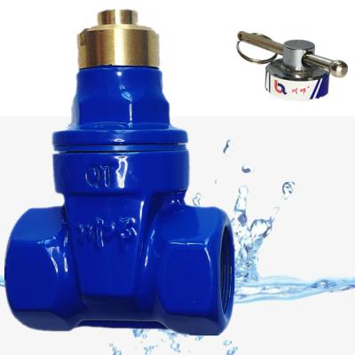 China Cast Iron Valve Control Valve Water Valve Body General Smart Soft Seal Encrypted Stem Opened With Encryption Tool for sale