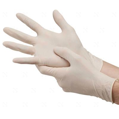 China Medical Examination / Laboratory / Food Processing / Food Supply CE ISO 13485 Guantes Powder Latex Physician Mitt Latex Exam Glov guantest de glov quirurgico free glov latex for sale