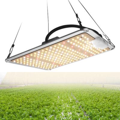 China Seed seed plant ip65 dimmable led grow light for hydroponics indoor planting veg flower waterproof plant lamps for sale