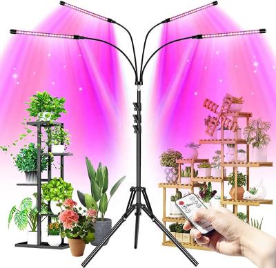 China Seed Starting Factory Direct Selling Tripod Led To Grow 4 Bar Light Gooseneck USB 5V Flexible Full Spectrum Flower Led Plant Light for sale