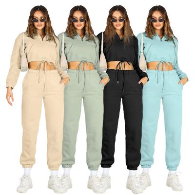 China 2021 Winter QUICK DRY Custom Tracksuit Women Clothes Logo Drawstring Hooded Sweatshirt Suit Custom Women Joggers 2 Pieces Set Women for sale