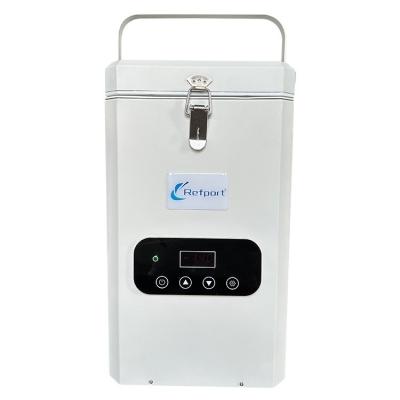 Cina Freezer per trasferimenti medici portatile -120C Mini Lab 2L con sistema di raffreddamento Stirling in vendita