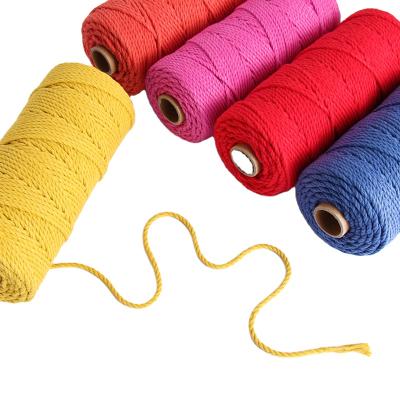 China New Viable Colorful 4mm Twisted Macrame Rope 3 Strands Cotton Macrame Cord for sale