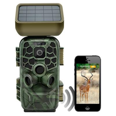 China Newest Popular Weather-Resistant 4K Wifi Thermal Trail Hunting Camera With Solar Panel Remote Control for sale