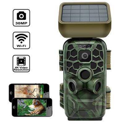 China Weather-Resistant 4K 30MP Digital Scouting Hunting Trail Photo Trap Camera With Solar Panel for sale