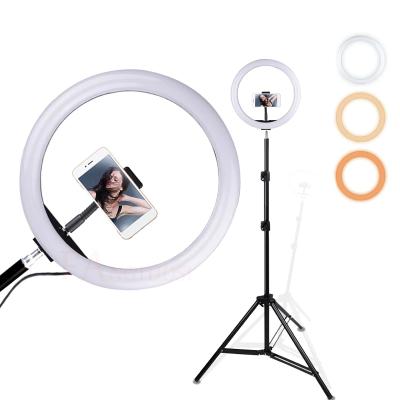 China Wholesale Live Stream /Makeup/YouTube Visual Beauty 12 Inch Photographic Selfie Led Ring Light With Tripod Stand For Live Stream Makeup Youtube Video for sale