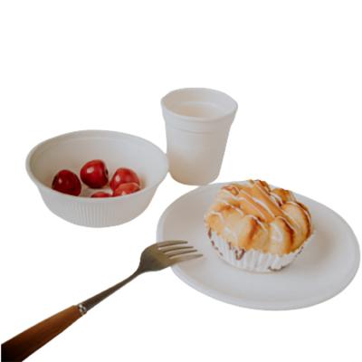 China Coastal Premium Quality Clear Paper Set Around Disposable Tableware with Sections for sale