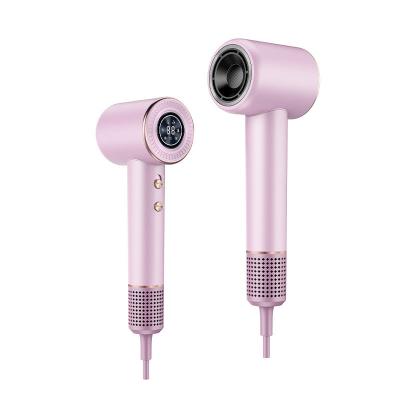 China Customize Speed Brushless Motor Salon Hair Dryer Styler for Hair Care Customer's Logo for sale