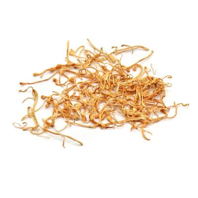 China Raw Natural High Quality Cordyceps Flower for sale