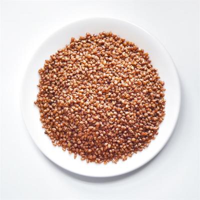 China Wholesale Chinese 100% Pure Roasted Buckwheat Tea Barley Tartar Tea From Factory Loose Supplier for sale