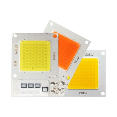 China Seed Starting Light 10W 20W 30W COB LED Chip 220V 110V Driverless Full Spectrum For Plants Growing Lamp Flowers Indoor Flood Lights for sale