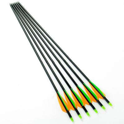 China Hunting Pure Carbon Fiber Hunting Arrows for sale