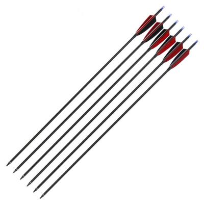 China Hunting Pure Carbon Fiber Hunting Arrows for sale