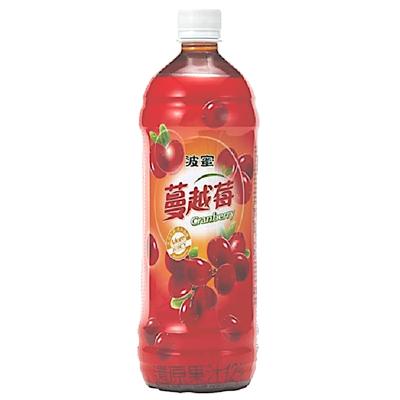 China Factory Price Wholesale Quality New Cranberry Juice Cranberry Premium Flavor for sale