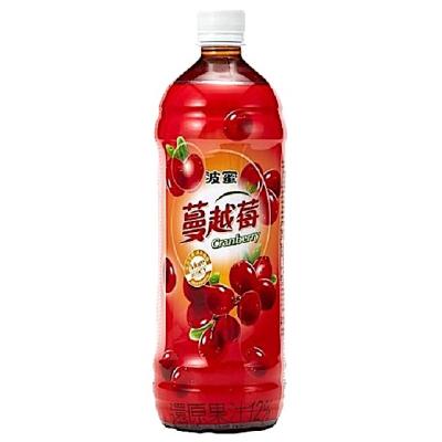 China Bulk Sale Factory Price Natural Fruit Concentrate Juice Cranberry for sale