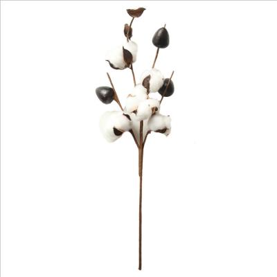 China Wedding Christmas home decoration cotton 5heads wholesale dry flower wedding decoration cotton flowers QSLH-AI648 dry flowers for sale for sale