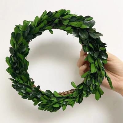 China QSLH-A3430 Plaza Preserved Dry Plant Leaves Green Boxwood Wreath For Front Door Wreath for sale