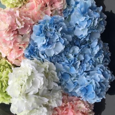 China Wedding decoration; Hot Sale 5 Heads Hydrangea Flower Home Decoration Artificial Hydrangea Flower Bouquet For Wedding Decoration for sale