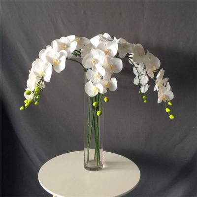 China Realistic Hot Sale Latex Coated Artificial Orchid 9 Heads Real Touch White Orchid for sale