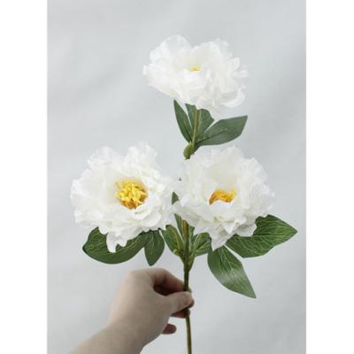 China QSLH-A3412 Plaza Peony Branch 3 Heads Peony Artificial Flower For White Flowers for sale