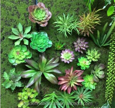 China Wholesale Realistic Indoor Decorative Artificial Plastic Succulent Plants for sale