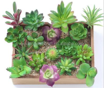 China Realistic Artificial Plants Wholesale Plastic Succulents For Potted Plant for sale