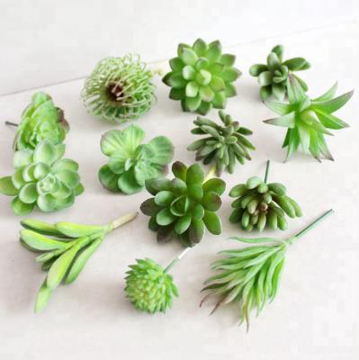 China Home decoration; Wedding Decoration Plant Mini Plastic Succulent Artificial Plants For Decoration for sale