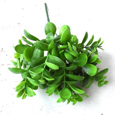 China Realistic Artificial Succulent Plants Flower Arrangement Decor Potted Plastic Flower for sale