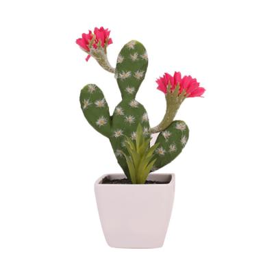 China Realistic Artificial Succulent Plants in Pots Artificial Air Plants for sale