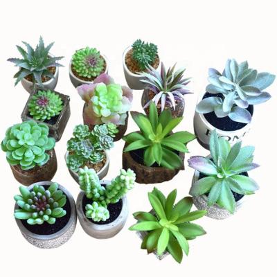 China Home decoration; Wholesale Wedding Decoration QSLH-W408 Green Plants Plant Artificial Succulent Pot For Hotel Decoration for sale