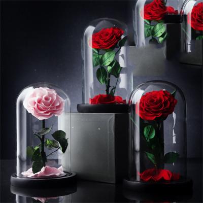 China Real Romantic Preserved Rose New Long Lasting Fresh Real Touch Preserved Forever Roses With Stem Eternal Roses In Glass Dome For Valentine's Day Gift for sale