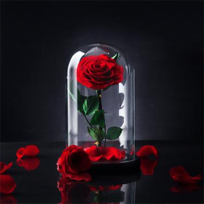 China Real Rose Romantic Preserved Real Rose in Eternal Flower Glass Dome for Girl Woman Valentine's Day Red Gift 1 Piece for sale