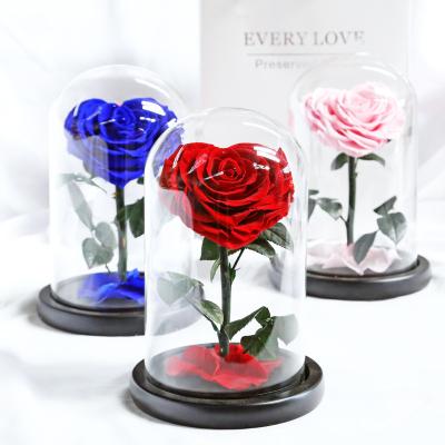 China Original Factory Price Loyal True Eternal Romantic Preserved Rose Heart Flower Stem Forever Stabilized Preserved Roses In Glass Dome for sale