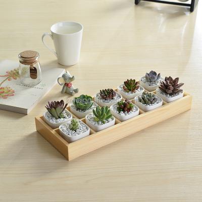 China Hot sale wooden wooden succulent pots can 10 flower plants. for sale