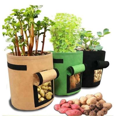 China Factory Handmade Felt Fabric Grow Bags Best Selling Felt Grow Pot Bag for sale