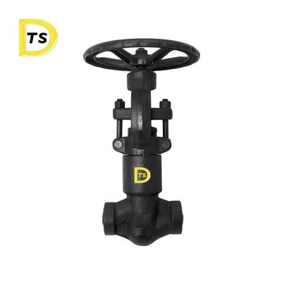 China General Reliable Quality A105 F304 F316 Forged Self Sealing Globe Valve for sale