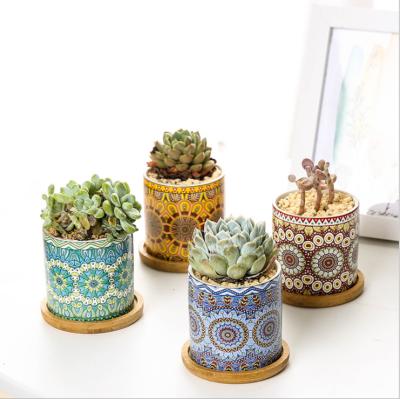 China Modern Hot Selling Ceramic Amazon Cactus Succulent Planters Pots With Wooden Saucer for sale