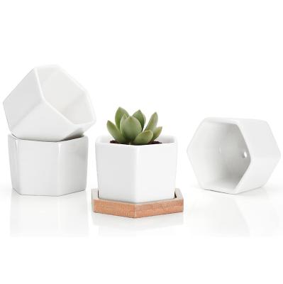 China Modern Ceramic Planter Pots Glazed Indoor Succulent Hexagon Planter Containers Set of 2 for sale