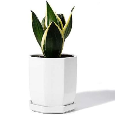 China Modern Geometric Shaped Planters With Drain Hole And Saucer Ceramic Modern Home Decor Cactus Planter Pot for sale