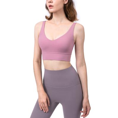 China Beauty Breathable Factory Supply U Back Multicolor Deep Quick-Dry And Breathable Sports Bra Yoga for sale