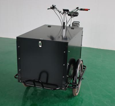 China China passenger cargo electric bike adult bicycle with cabin box for sale for sale