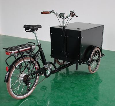 China New Design Passenger Wheel Ride Electric Cargo Bike Electric Tricycle /bicycle /electric bakfiets displayracks for sale