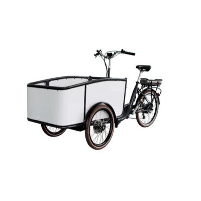 China 2 Wheel Passenger Electric Adult Cargo Tricycle With Front Two Wheel For Family And Kids Cargo Bike for sale