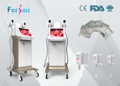 China super quality factory offer two handles 15 inch screen lipo cryotherapy fat freezing device for sale