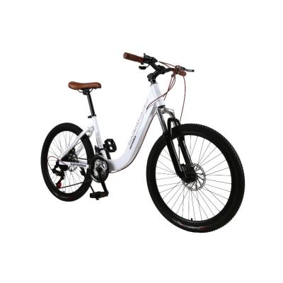 China Hot Selling High Quality High Carbon Steel Cycles For Men Woman Twitter Bicycle Carbon Mountain Bike for sale