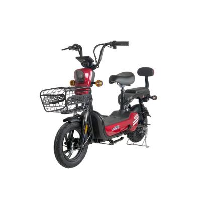 China Steel Two Person Electric Bike 14 Inch Vacuum Tire Detachable Battery Rechargeable Electric Bike for sale