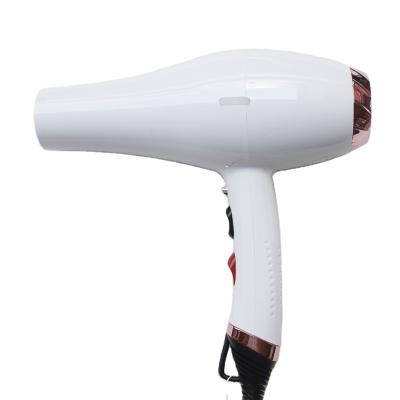 China Outdoor Professional Home Salon Travel Use Hair Dryer Manufacturer China Commercial Hair Dryers for sale