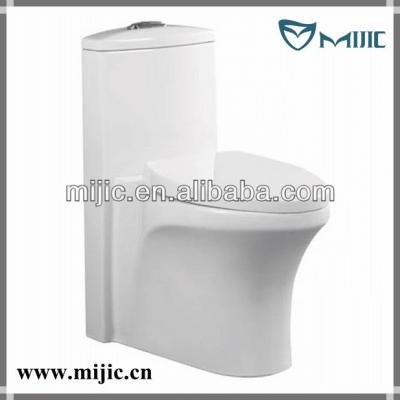 China Double-Flow 48 Toilet Toilet Hospital Accessory Muslim Toilet for sale