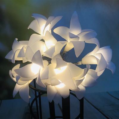 China White Morning Glory Led Lights Holiday Light Valentine's Day Decoration For String for sale